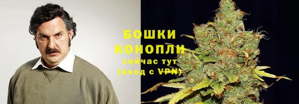 стаф Абаза