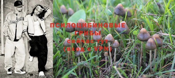 прущая мука Абдулино