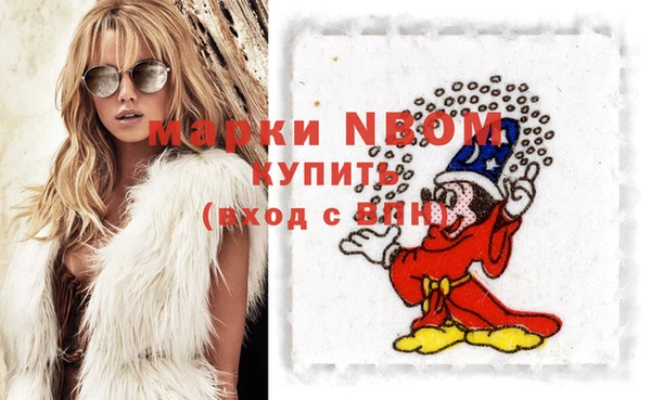 стаф Абаза